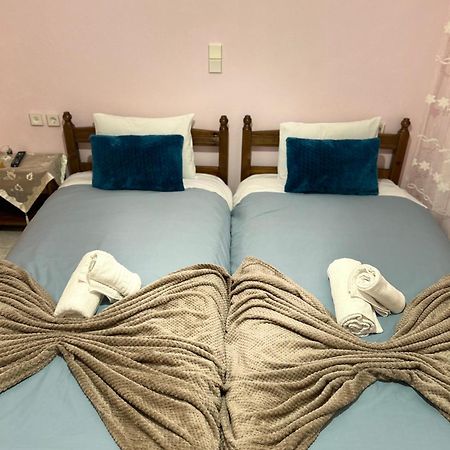 Karpouzis Guesthouse Víkos Extérieur photo