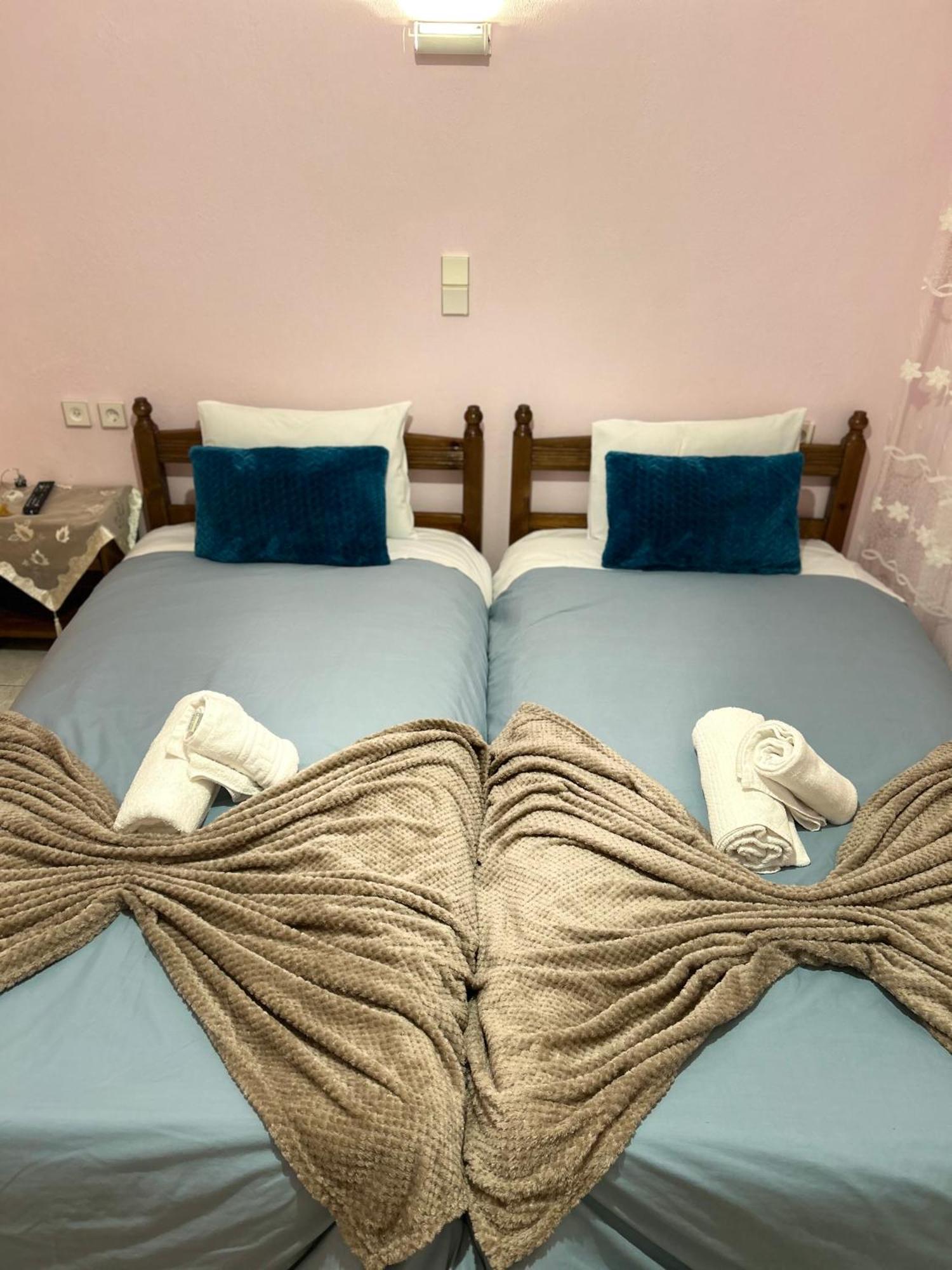 Karpouzis Guesthouse Víkos Extérieur photo